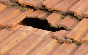 roof repair Middlemoor, Devon